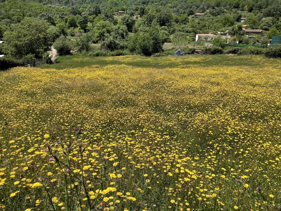 Atico Mirador Del Pielago El Real de San Vicente Εξωτερικό φωτογραφία